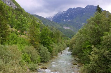 Bovec, Slovenya, Avrupa 'daki yeşil ormandaki görkemli Soca nehri. Avrupa 'da güzel bir rafting ve kano yeri. Harika bir dinlenme yeri ve kayak yeri..