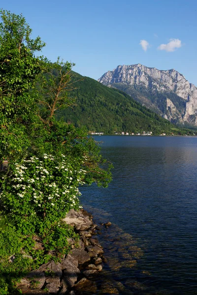 Lago Montanha Traunsee Cidade Gmunden Áustria Europa Áustria Paisagem Região — Fotografia de Stock