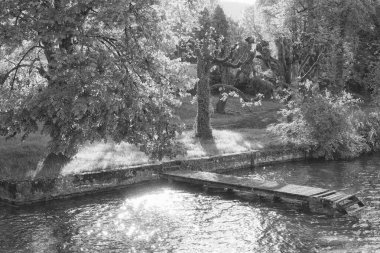 Avusturya Alpleri 'ndeki Traunsee Dağı Gölü. Salzkammergut bölgesinde Avusturya manzarası. Traunkirchen kasabası, Traun Gölü..