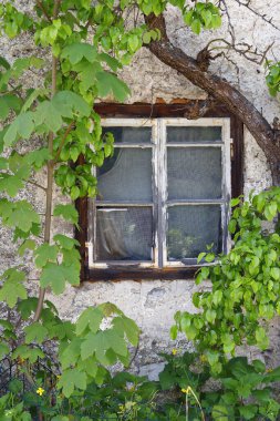 Yukarı Avusturya 'daki Hallstatt kasabasının mimari detayları. Hallstatt, Avusturya 'da Salzkammergut bölgesinde bir köydür..