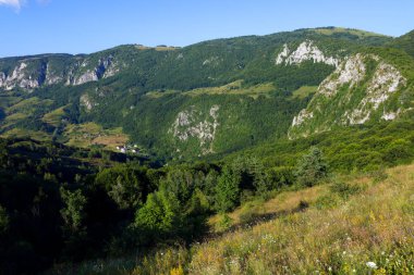 Apuseni Dağları, Batı Karpatlar, Dumesti Salciua köyü Romanya, Avrupa 'nın güzel dağ manzarası