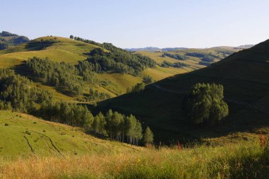 Apuseni Dağları, Batı Karpatlar, Dumesti Salciua köyü Romanya, Avrupa 'nın güzel dağ manzarası