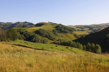 Apuseni Dağları, Batı Karpatlar, Dumesti Salciua köyü Romanya, Avrupa 'nın güzel dağ manzarası