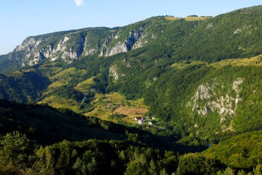 Dumesti köyündeki geleneksel evler, Apuseni Dağları, Romanya, Avrupa
