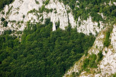Apuseni Dağları, Batı Karpatlar, Dumesti Salciua köyü Romanya, Avrupa 'nın güzel dağ manzarası