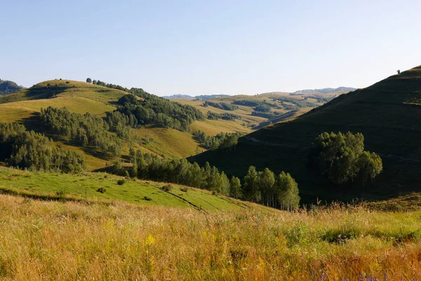 Apuseni Dağları, Batı Karpatlar, Dumesti Salciua köyü Romanya, Avrupa 'nın güzel dağ manzarası