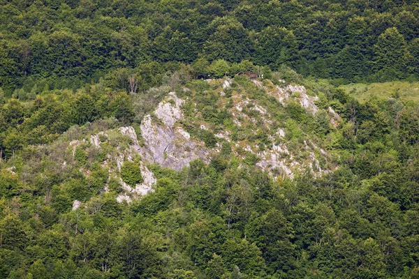 欧洲罗马尼亚Dumesti Salciua村西喀尔巴阡山脉Apuseni山区美丽的山景 — 图库照片