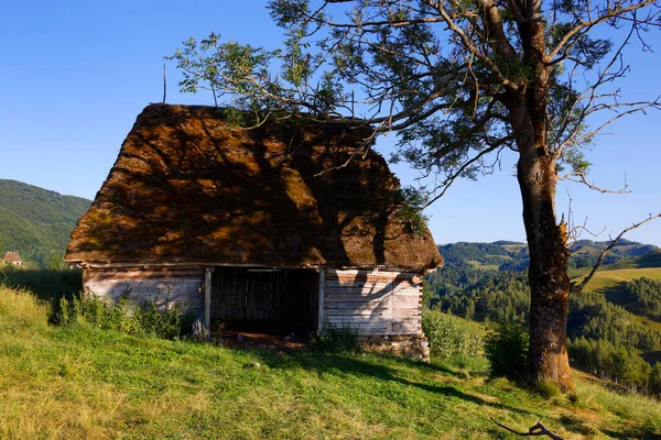 Dumesti köyündeki geleneksel evler, Apuseni Dağları, Romanya, Avrupa