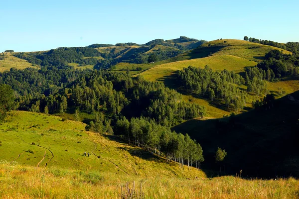 Apuseni Dağları, Batı Karpatlar, Dumesti Salciua köyü Romanya, Avrupa 'nın güzel dağ manzarası