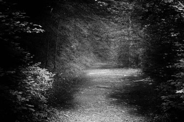 Cheile Rametului, Alba ilçesi, Transilvanya, Romanya ve Avrupa 'daki vahşi doğal park nehir alanını dolduruyor