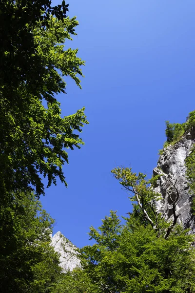 Summer Landscape Ramet Gorges Transylvania Trascau Mountains Alba County Romania — Stock Photo, Image