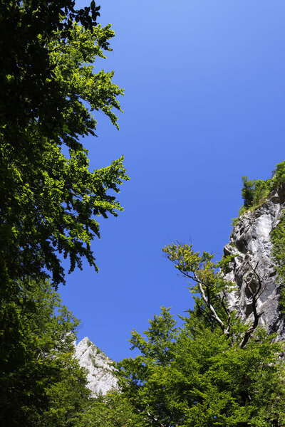 Summer landscape of Ramet gorges in Transylvania, Trascau mountains, Alba county, Romania, Europe