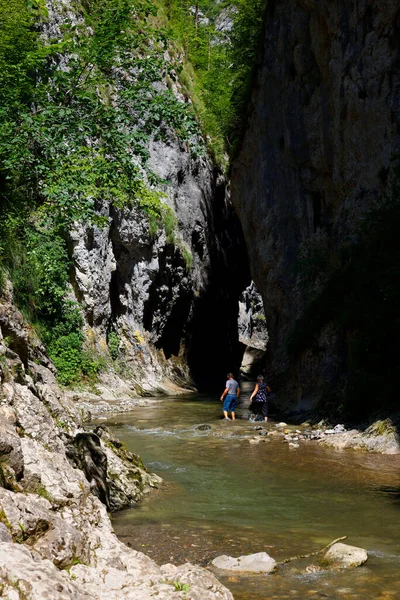 トランシルヴァニアのラメット ジョルジュの夏の風景 トラスヴァルト山脈 アルバ郡 ルーマニア ヨーロッパ — ストック写真