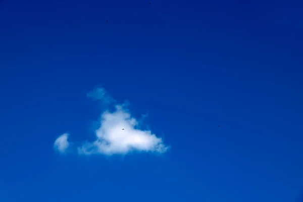 Niebieskie Niebo Puszystą Białą Chmurą Duży Biały Cumulus Chmura Środku — Zdjęcie stockowe