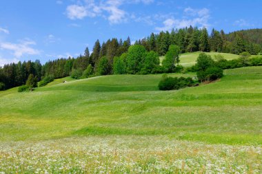 Durrenstein Dağı, Dolomitler, İtalya ve Avrupa 'nın yaz manzarası