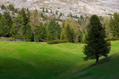 Durrenstein Dağı, Dolomitler, İtalya ve Avrupa 'nın yaz manzarası