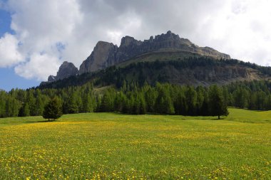 Passo Costalunga, Dolomites, İtalya. Arka planda Catinaccio Dağı 'nın (Rosengarten) yamacı, İtalya, Avrupa