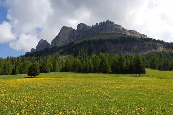 Passo Costalunga Dolomitech Itálie Hillside Hory Catinaccio Rosengarten Pozadí Itálie — Stock fotografie