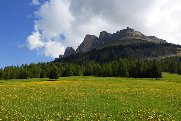 Passo Costalunga Dolomitach Włoszech Hillside Mount Catinaccio Rosengarten Tle Włochy — Zdjęcie stockowe