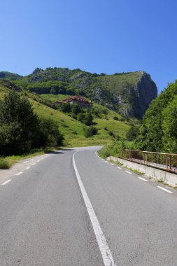 Doğu Trascau Dağları, Alba İlçesi, Romanya ve Avrupa 'da yer alan bir jeo-morfolojik ve botanik doğa rezervi olan Valisoarei Gorges yaz manzarası