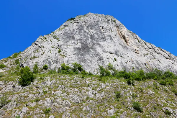 Doğu Trascau Dağları, Alba İlçesi, Romanya ve Avrupa 'da yer alan bir jeo-morfolojik ve botanik doğa rezervi olan Valisoarei Gorges yaz manzarası