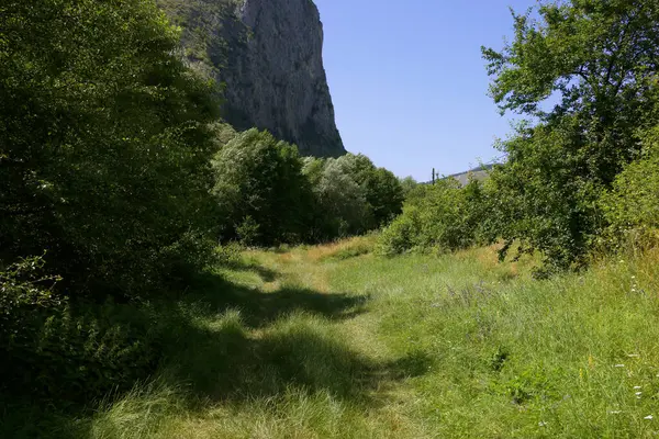 stock image Summer landscape of Valisoarei Gorges, a geo-morphological and botanical nature reserve located in eastern Trascau Mountains, Alba County, Romania, Europe