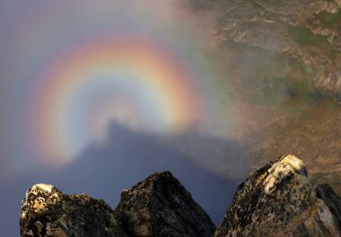 Eggishorn Tepesi 'nden Aletsch Buzulu' nun Bernese Oberland, İsviçre ve Avrupa 'daki yaz panoramik manzarası