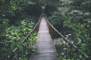 Vadul Krizi, Transilvanya, Romanya ve Avrupa 'nın yaz manzarası