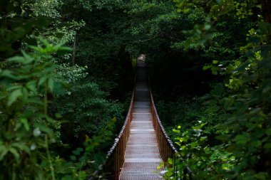 Güneşli bir günde Vadu Crisului 'nin yaz akşamı manzarası, Romanya ve Avrupa