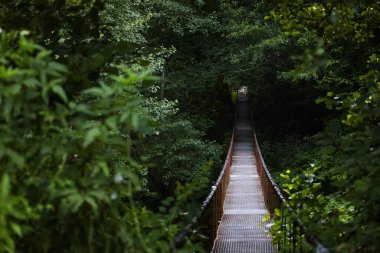 Güneşli bir günde Vadu Crisului 'nin yaz akşamı manzarası, Romanya ve Avrupa