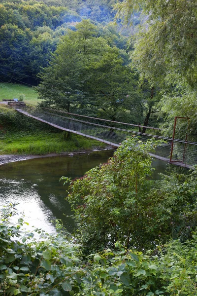 Güneşli bir günde Vadu Crisului 'nin yaz akşamı manzarası, Romanya ve Avrupa