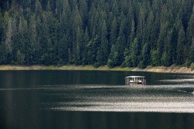 Batı Karpatlar 'ın dağlarında yer alan Belis Fantanele baraj gölünün yaz manzarası, Romanya ve Avrupa