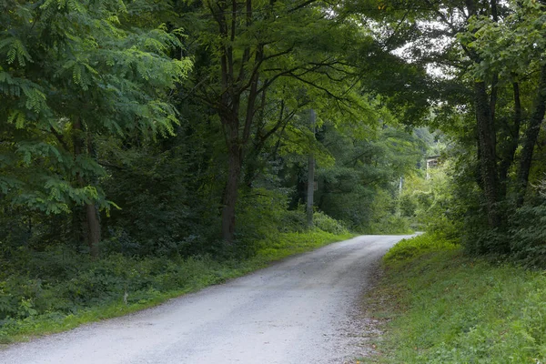 Paysage Soir Été Vadu Crisului Par Une Journée Ensoleillée Roumanie — Photo