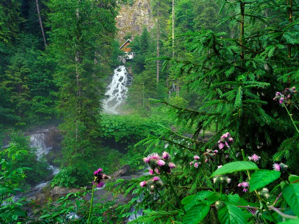 Letni Krajobraz Wodospadu Seven Springs Górach Bucegi Rumunia Europa — Zdjęcie stockowe