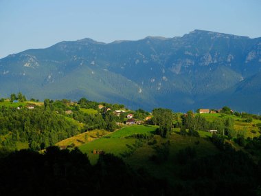 Romanya 'daki Bucegi Dağları (Muntii Bucegi) manzarası güneşli bir yaz günü, Romanya ve Avrupa' da