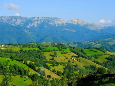 Romanya 'daki Bucegi Dağları (Muntii Bucegi) manzarası güneşli bir yaz günü, Romanya ve Avrupa' da