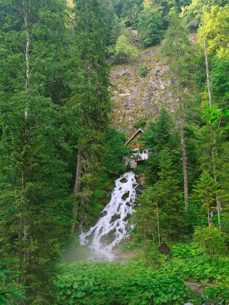 Ormandaki güzel şelale, dağlardaki nehir. Cascada Sapte Izvoare - Bucegi Dağları, Romanya ve Avrupa 'da Yedi Pınar Şelalesi. 