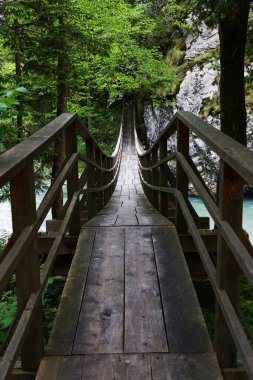 Luce tatil beldesinde geleneksel ahşap mimari, Slovenya, Avrupa
