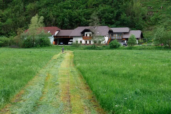 Traditionelle Holzarchitektur Ferienort Luce Slowenien Europa — Stockfoto