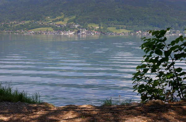 Avusturya, Avrupa 'da Unterach am Attersee' nin manzaralı yaz manzarası