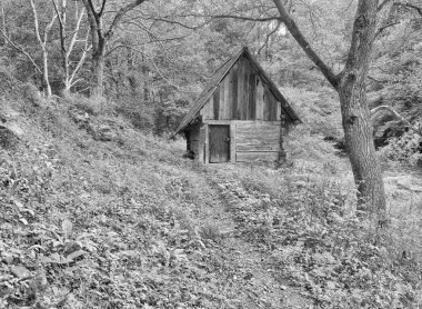 Cernei Dağları, Karpatlar, Romanya ve Avrupa 'daki orman yolu