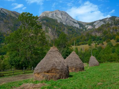 Transilvanica yoluyla Mehedinti Dağları, Romanya ve Avrupa 'da patika