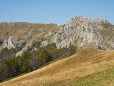 Arjana zirvesi (1511 metre) Cernei Dağları, Karpatlar, Romanya ve Avrupa 'da yaz sonu manzarası