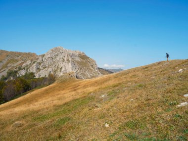 Cernei Dağları, Karpatlar, Romanya ve Avrupa 'daki orman yolu