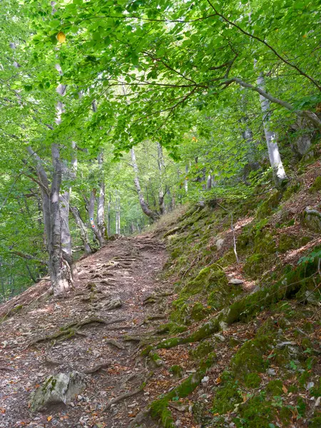 Transilvanica Trail Mehedinti Mountains Roménia Europa — Fotografia de Stock