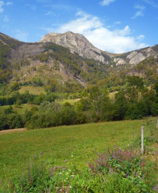 Via Transilvanica yolu üzerinde yaz sonu manzarası, Romanya ve Avrupa