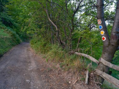 Via Transilvanica yolu üzerinde yaz sonu manzarası, Romanya ve Avrupa