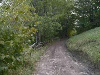 Via Transilvanica yolu üzerinde yaz sonu manzarası, Romanya ve Avrupa