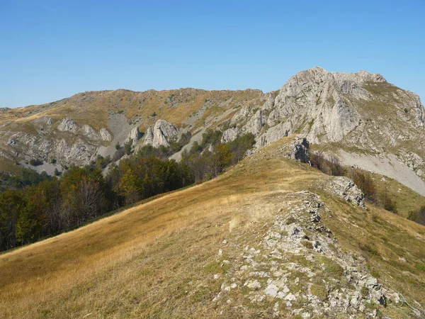 Arjana zirvesi (1511 metre) Cernei Dağları, Karpatlar, Romanya ve Avrupa 'da yaz sonu manzarası