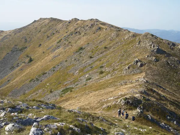 Arjana zirvesi (1511 metre) Cernei Dağları, Karpatlar, Romanya ve Avrupa 'da yaz sonu manzarası